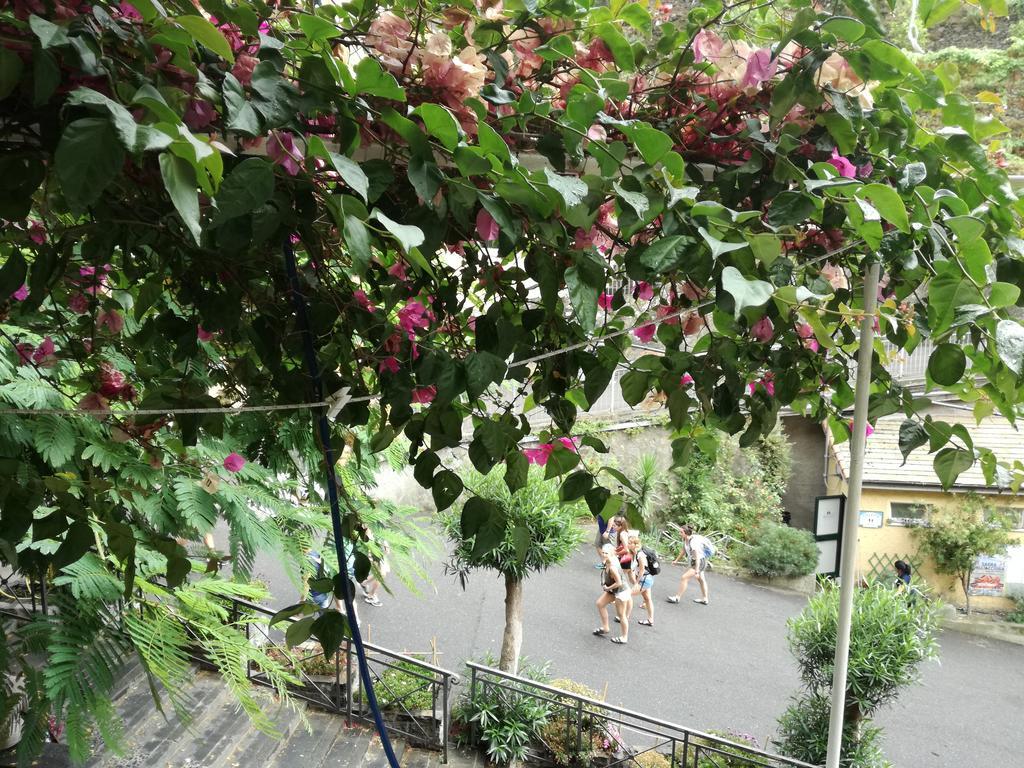 Riomaggiore Appartamenti Apartment *